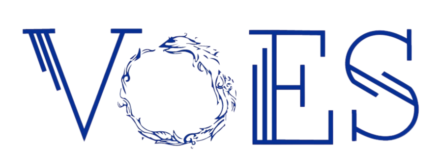 The Voes Store Logo
